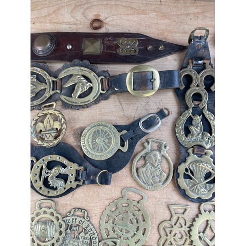 157 - Quantity Of Vintage & Antique Horse Brasses