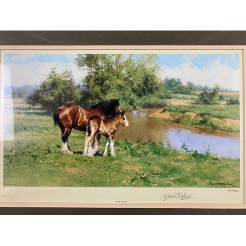 300 - David Shepherd, Artist Signed Limited Print 