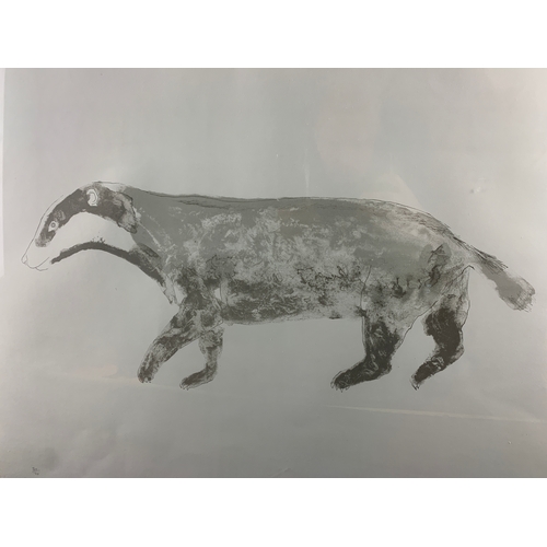 130 - Elisabeth Frink Study of a Badger - 30/70 Artist Signed Print - 76 x 63cm to frame