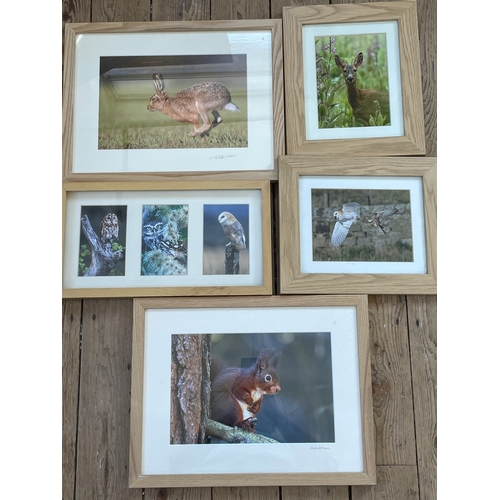 285 - Wildlife Photography By Phil McLean. Two Signed. All Nicely Presented In Light Oak Frames