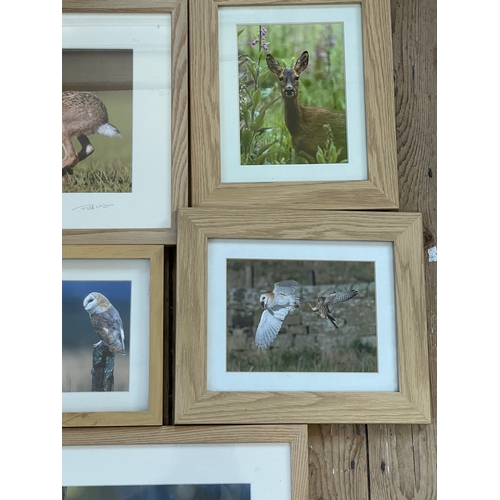 285 - Wildlife Photography By Phil McLean. Two Signed. All Nicely Presented In Light Oak Frames