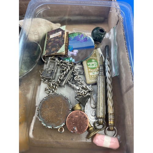 292 - Tray Of Small Collectables Inc. Charms & Clay Pipes