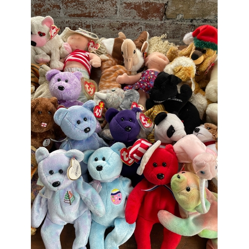 130 - 45 TY Beanie Babies