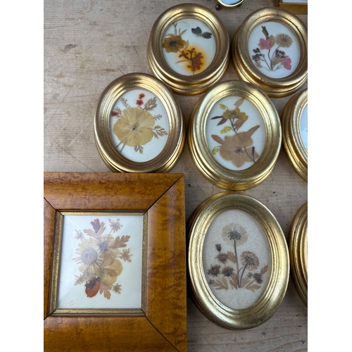 231 - Quantity of Framed Pressed Flowers