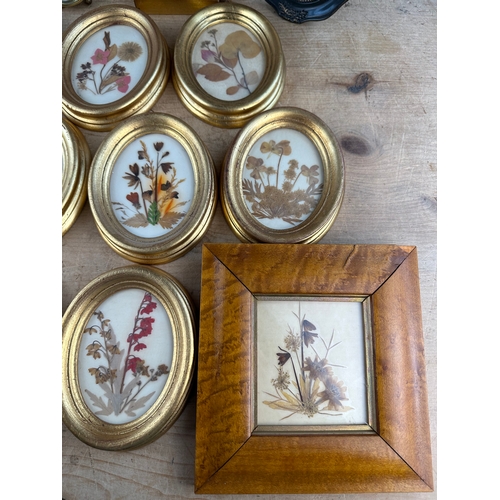 231 - Quantity of Framed Pressed Flowers