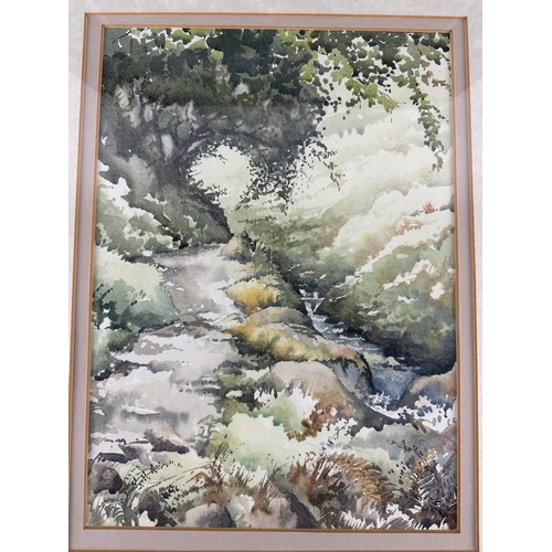 291 - Two Artist Signed Watercolours - Lydford Gorge, Devon and River Wharfe, Coniston.  Signed G.E.R