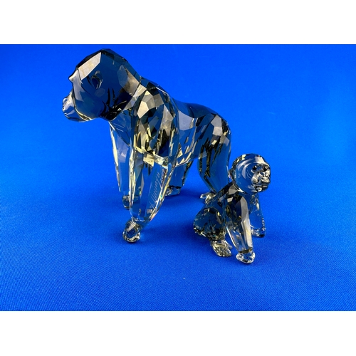 257 - Swarovski Crystal Endangered Wildlife Gorillas by Anton Hirzinger, 952504,  Boxed with COA