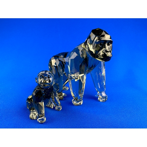 257 - Swarovski Crystal Endangered Wildlife Gorillas by Anton Hirzinger, 952504,  Boxed with COA