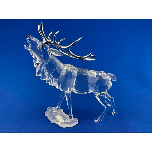 259 - Swarovski Crystal Rare Encounters Stag 291431, Boxed with COA