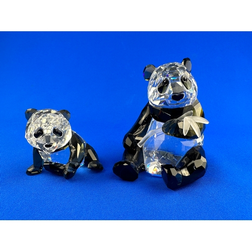 260 - Swarovski Crystal Endangered Animals Pandas 900918 with Box & COA