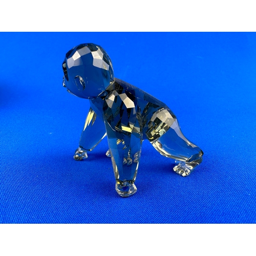 262 - Swarovski Crystal Endangered Animals Gorilla Infant 955440 with Box & COA