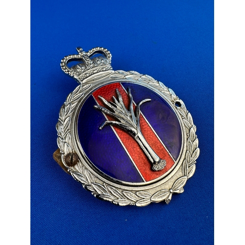 148 - Welsh Guard Car Badge