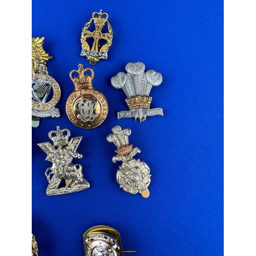 202 - Group of Assorted Military Cap Badges