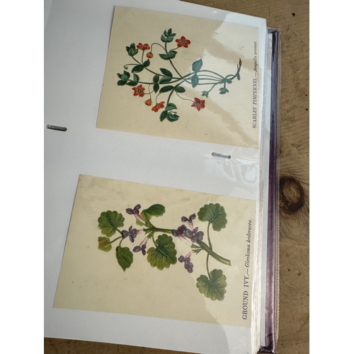 144 - Album of over 130 Antique Hand Illustrated Botanical Drawings