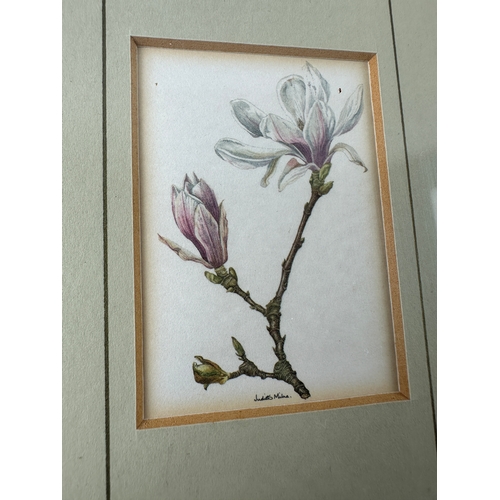 302 - Two Vintage Botanical Prints/Etchings