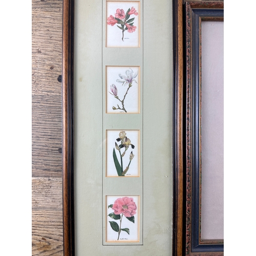 302 - Two Vintage Botanical Prints/Etchings