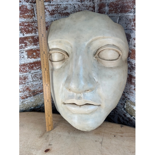 250 - Large Resin Wall Hanging Face Mask