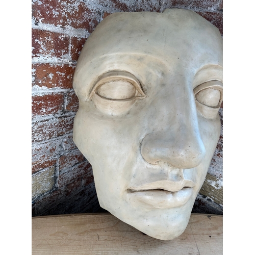 250 - Large Resin Wall Hanging Face Mask