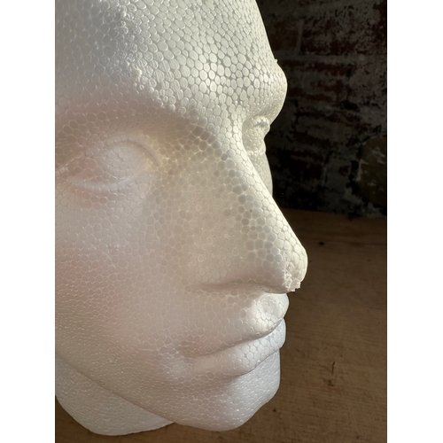 253 - Polystyrene Head