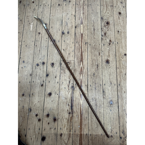 207 - Long Horn Handled Walking Cane