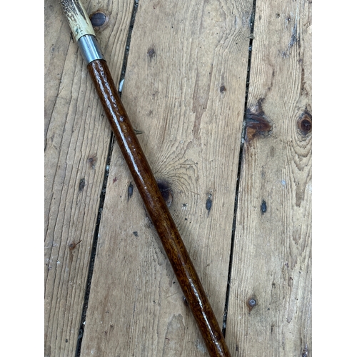 207 - Long Horn Handled Walking Cane