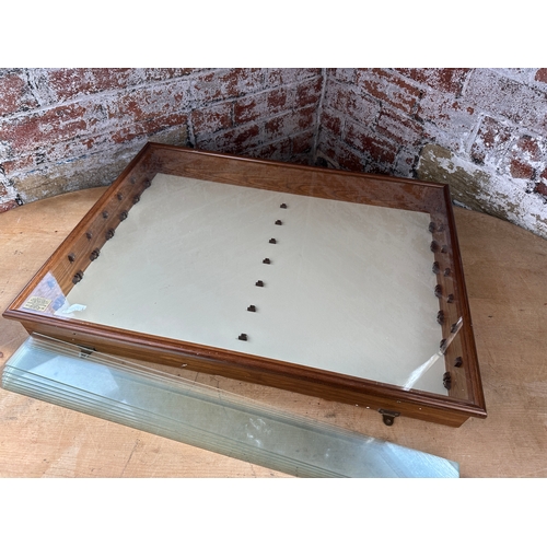 185 - Collectors Display Case with Glass Front & Shelves