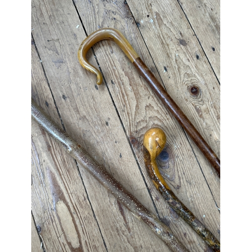 201 - Trio of Hand Crafted Walking Canes