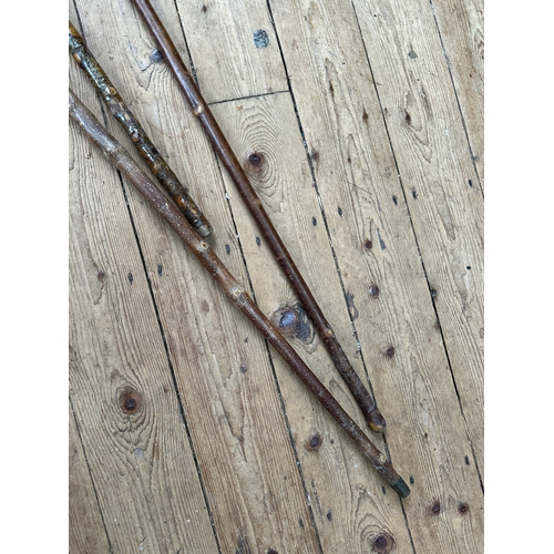 201 - Trio of Hand Crafted Walking Canes