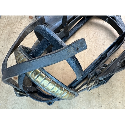 376 - Vintage Horse's Bridle & Bit