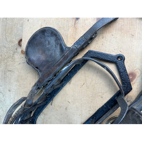 376 - Vintage Horse's Bridle & Bit