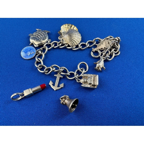 4 - Silver Charm Bracelet & Charms