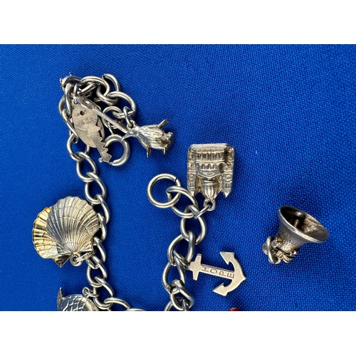 4 - Silver Charm Bracelet & Charms