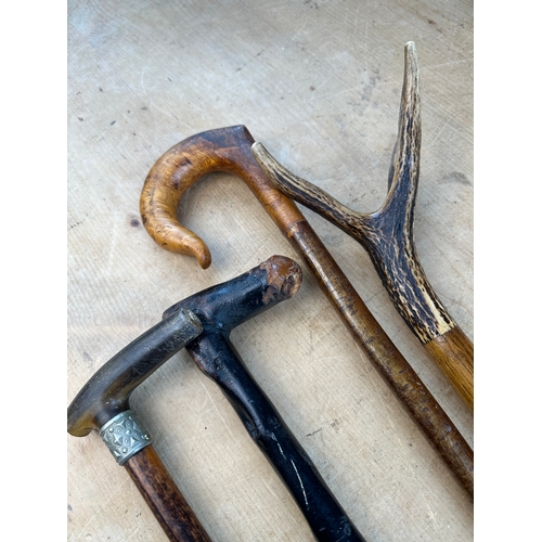 279 - Quartet of Vintage Walking Sticks & Canes