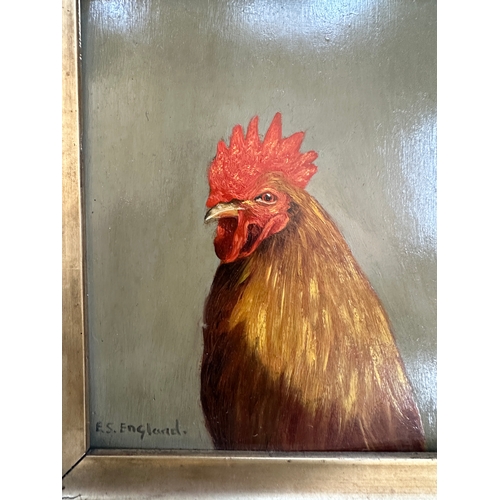 205 - Original Oil on Board Cockerel Painting signed E.S. England (1890-1910)