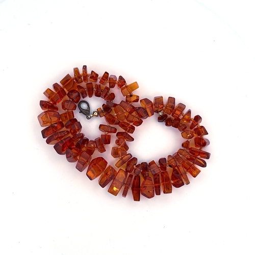 55 - Baltic Amber Necklace