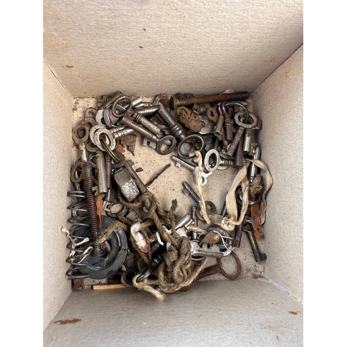 252 - Box of Small Assorted Keys