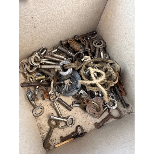 252 - Box of Small Assorted Keys