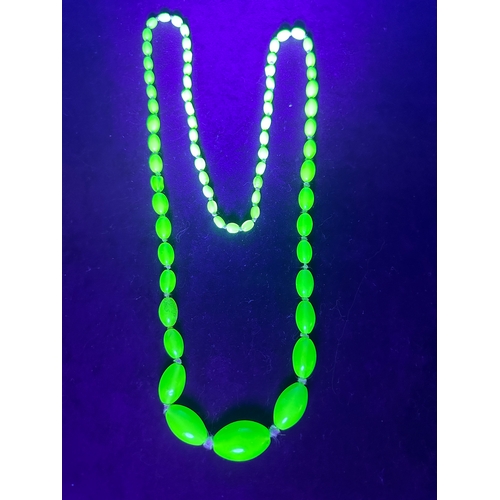 29 - Long Art Deco Graduated Uranium Glass Bead Necklace