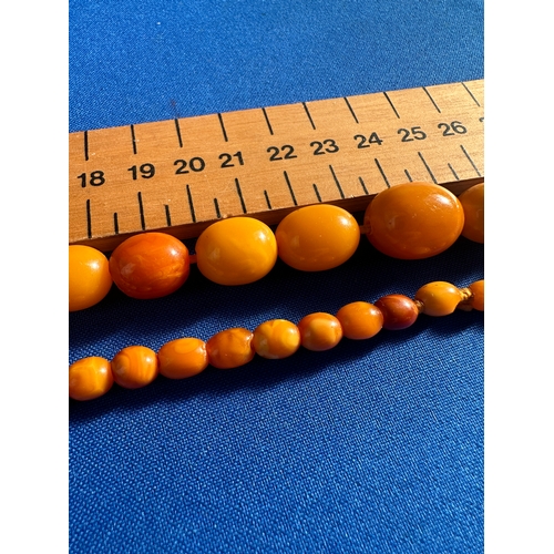 34 - Butterscotch Amber Graduated Bead Necklace, 100cm approximate length - 46g