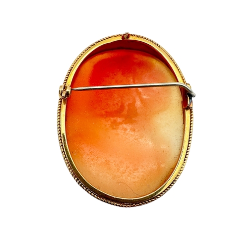 38 - Nine Carat Gold Came Brooch 12.3g gross weight...