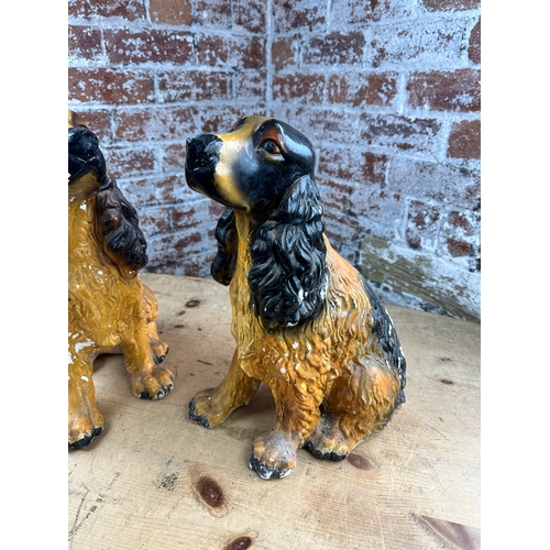 514 - Pair of Large Cast Plaster Mid Century Cocker Spaniel Figures