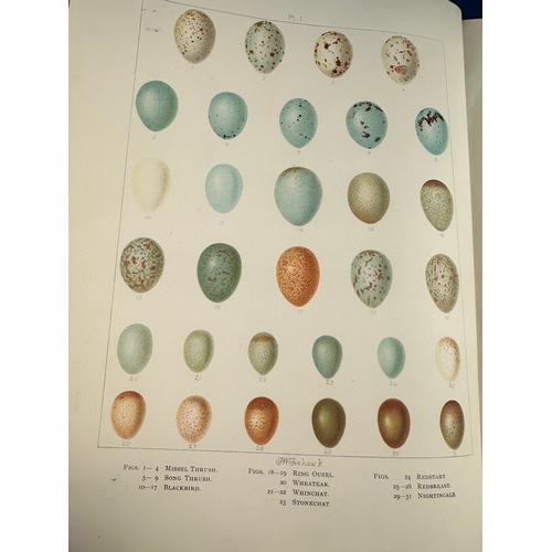 905 - Arthur Gardiner Butler: 'British Birds, with their Nests and Eggs.', illustrated F.W. Frohawk, Londo... 