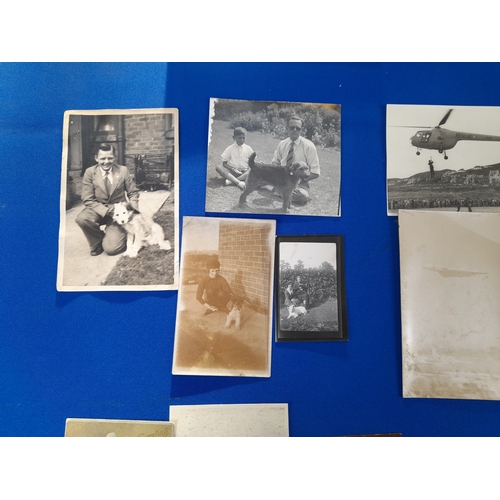 370 - Quantity of Antique and Vintage Photographs including Dogs and Aviation Subjects