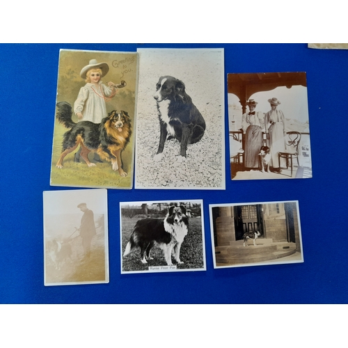 370 - Quantity of Antique and Vintage Photographs including Dogs and Aviation Subjects