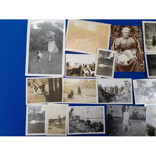 370 - Quantity of Antique and Vintage Photographs including Dogs and Aviation Subjects