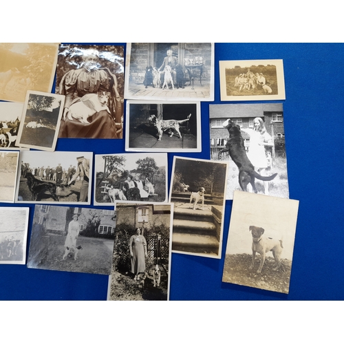 370 - Quantity of Antique and Vintage Photographs including Dogs and Aviation Subjects