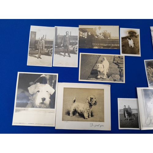 370 - Quantity of Antique and Vintage Photographs including Dogs and Aviation Subjects