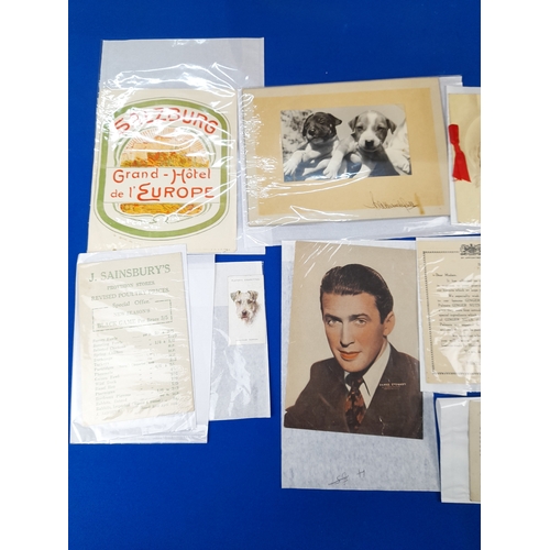 371 - Quantity of 20th Century Ephemera including Advertising, Stamps, Postcards and Valentines