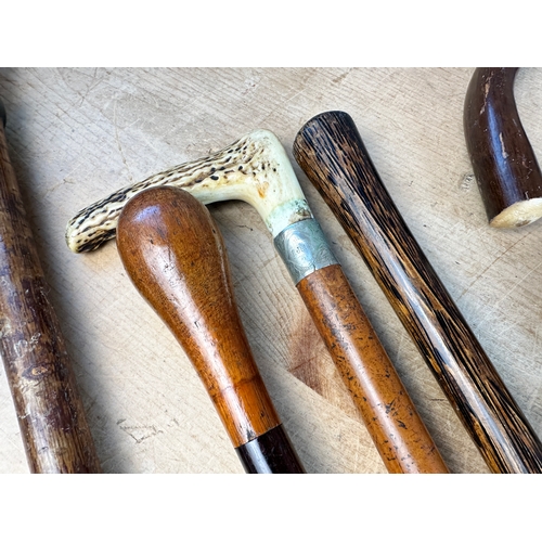 471 - Group of Vintage Walking Sticks including Silver Collar