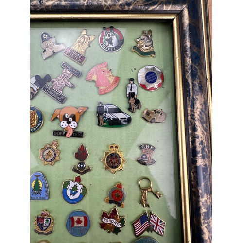 175 - Framed Display of Police/Law Enforcement Themed Enamel Badges (42)